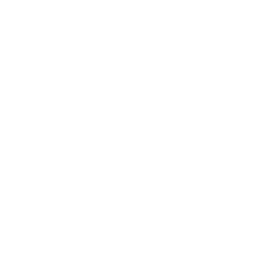 Nat20.cloud logo