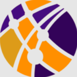 ProHoster VPN logo