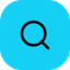 ApplyVelocity logo