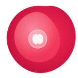 Samagama AI logo