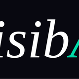 VisibAI