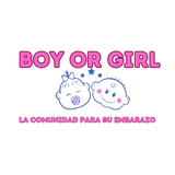 Boy or Girl - Pregnancy App logo