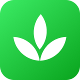 Pagifye logo