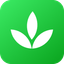 Pagifye logo